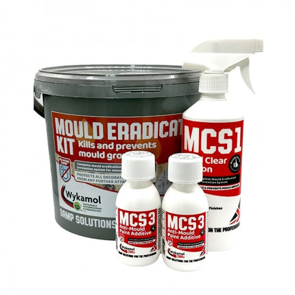 Mould Eradication Kit
